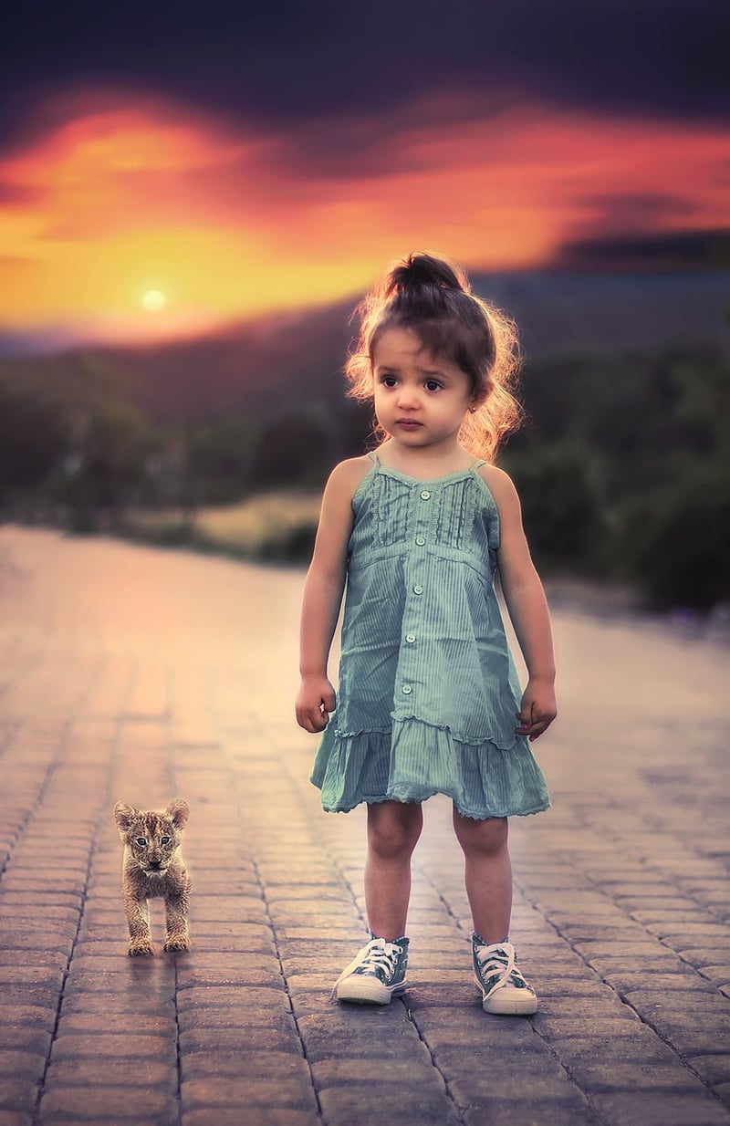 Mentorship Image