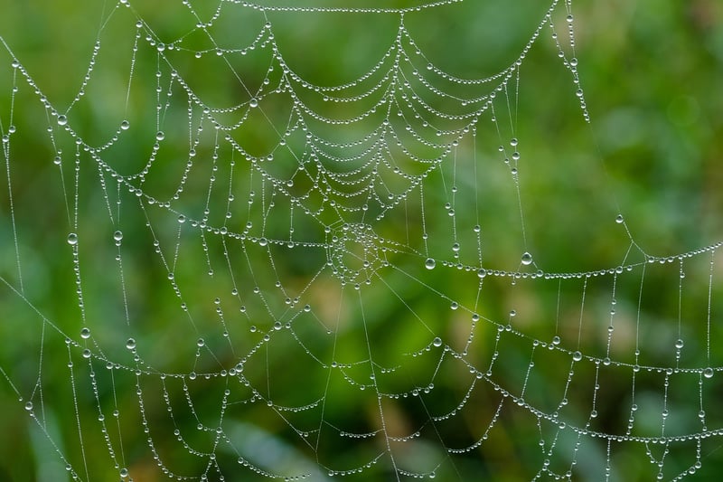 Data Collection Image